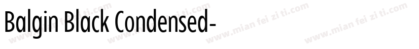 Balgin Black Condensed字体转换